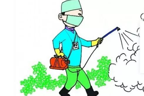 1761870387951518.jpg 459.jpg